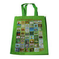 潮州LB11覆膜无纺布广告袋